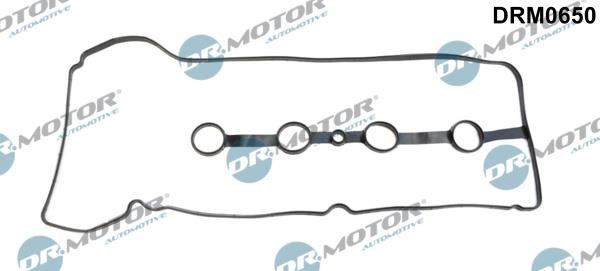Dr.Motor DRM0650 Gasket, timing case DRM0650: Buy near me in Poland at 2407.PL - Good price!