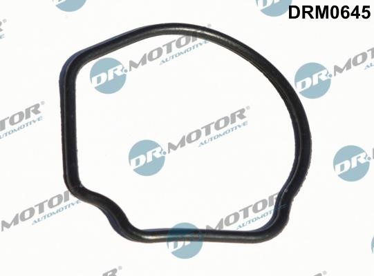 Dr.Motor DRM0645 Termostat gasket DRM0645: Buy near me in Poland at 2407.PL - Good price!
