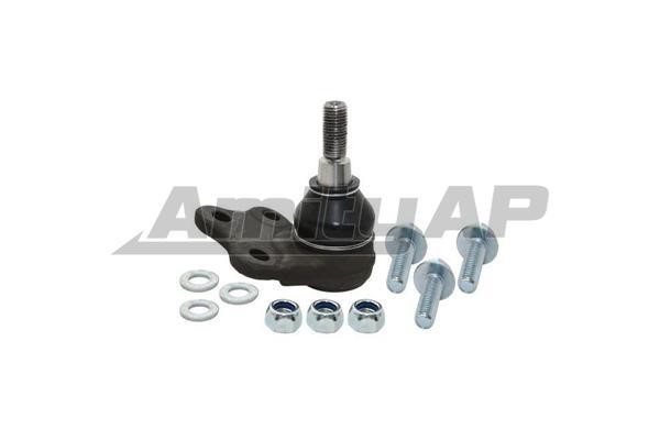 Amity AP 28-BJ-0170 Ball joint 28BJ0170: Buy near me in Poland at 2407.PL - Good price!