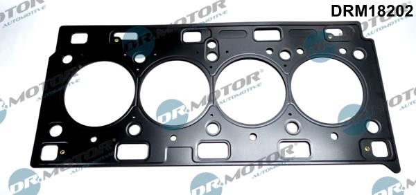 Dr.Motor DRM18202 Gasket, cylinder head DRM18202: Buy near me in Poland at 2407.PL - Good price!