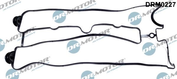 Dr.Motor DRM0227 Gasket, cylinder head cover DRM0227: Buy near me in Poland at 2407.PL - Good price!