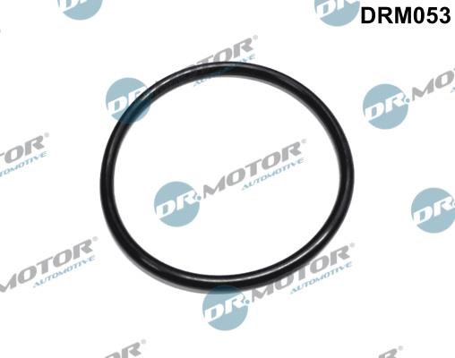 Dr.Motor DRM053 Прокладка фільтра масляного DRM053: Приваблива ціна - Купити у Польщі на 2407.PL!