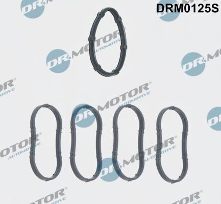 Dr.Motor DRM0125S Прокладки впускного коллектора, комплект DRM0125S: Отличная цена - Купить в Польше на 2407.PL!