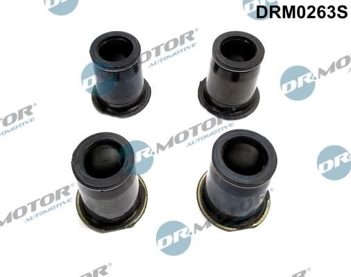 Dr.Motor DRM0263S Seal Kit, injector nozzle DRM0263S: Buy near me in Poland at 2407.PL - Good price!