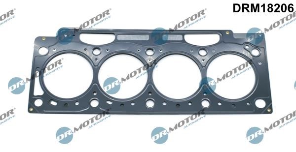 Dr.Motor DRM18206 Gasket, cylinder head DRM18206: Buy near me in Poland at 2407.PL - Good price!