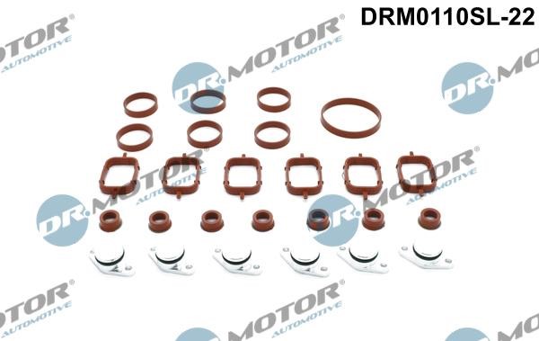 Dr.Motor DRM0110SL-22 Прокладки впускного коллектора, комплект DRM0110SL22: Отличная цена - Купить в Польше на 2407.PL!