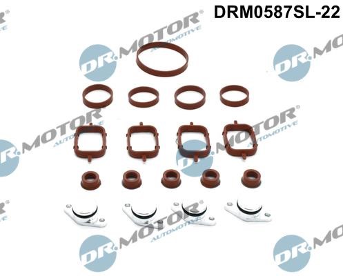 Dr.Motor DRM0587SL-22 Intake manifold gaskets, kit DRM0587SL22: Buy near me in Poland at 2407.PL - Good price!