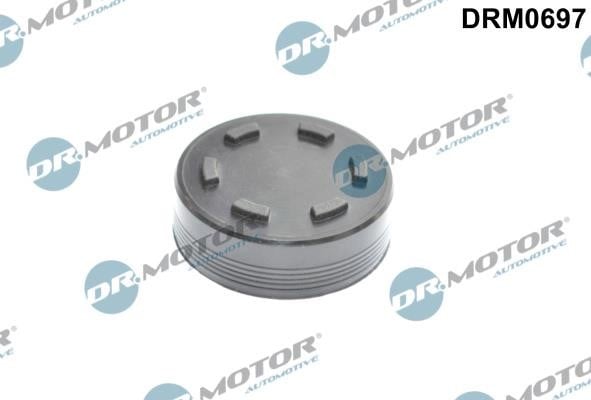 Dr.Motor DRM0697 Locking Cover, camshaft DRM0697: Buy near me in Poland at 2407.PL - Good price!