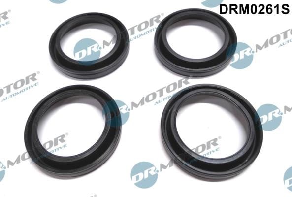 Dr.Motor DRM0261S O-rings for fuel injectors, set DRM0261S: Buy near me in Poland at 2407.PL - Good price!