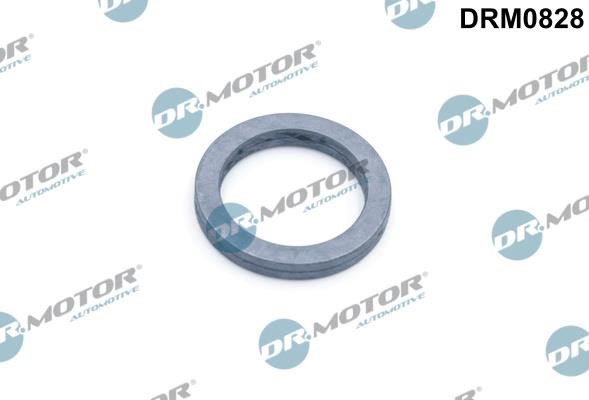 Dr.Motor DRM0828 Seal, oil pump DRM0828: Buy near me in Poland at 2407.PL - Good price!