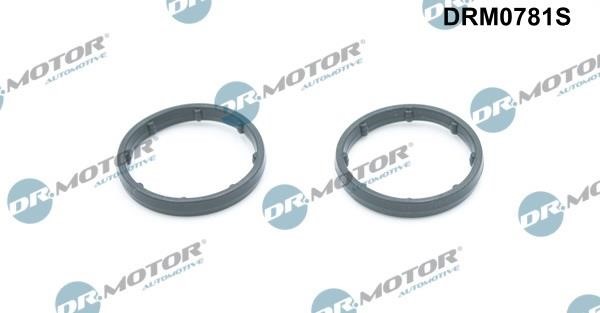 Dr.Motor DRM0781S Seal, oil cooler DRM0781S: Buy near me at 2407.PL in Poland at an Affordable price!