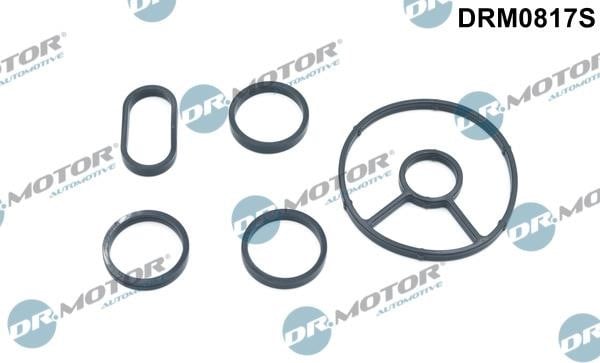 Dr.Motor DRM0817S Gasket Set, oil cooler DRM0817S: Buy near me in Poland at 2407.PL - Good price!