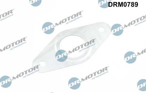 Dr.Motor DRM0789 Комплект прокладок, AGR-система DRM0789: Отличная цена - Купить в Польше на 2407.PL!
