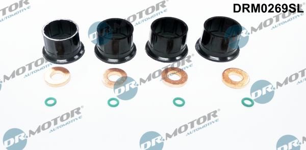 Dr.Motor DRM0269SL Seal Kit, injector nozzle DRM0269SL: Buy near me in Poland at 2407.PL - Good price!