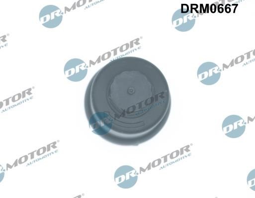 Buy Dr.Motor DRM0667 at a low price in Poland!