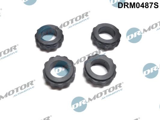 Dr.Motor DRM0487S Seal Ring, nozzle holder DRM0487S: Buy near me in Poland at 2407.PL - Good price!