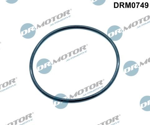 Dr.Motor DRM0749 Gasket, intake manifold DRM0749: Buy near me in Poland at 2407.PL - Good price!