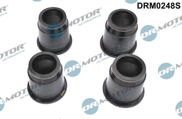 Dr.Motor DRM0248S Fuel injector gasket DRM0248S: Buy near me in Poland at 2407.PL - Good price!