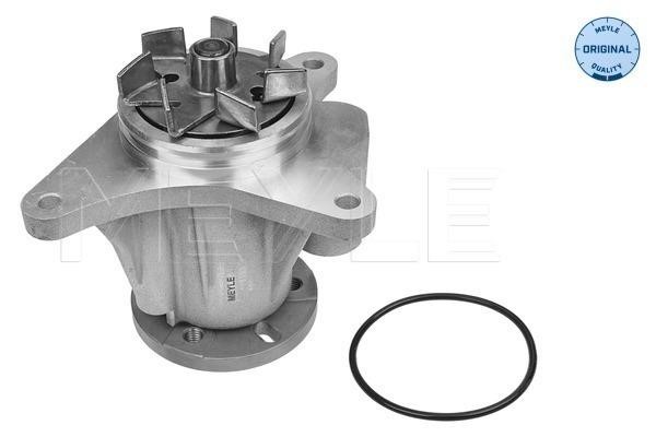 Meyle 53-13 220 0007 Water pump 53132200007: Buy near me in Poland at 2407.PL - Good price!