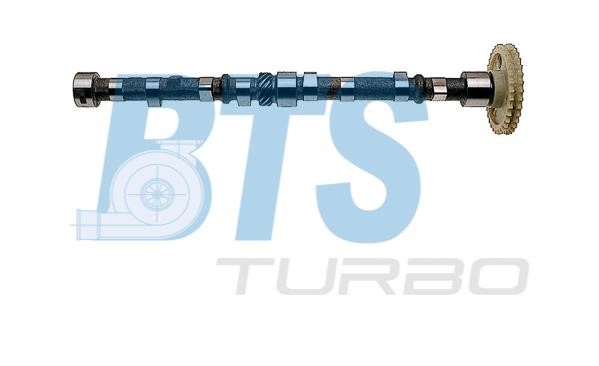 BTS Turbo CP15030 Вал распределительный CP15030: Отличная цена - Купить в Польше на 2407.PL!