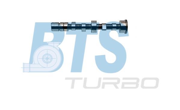 BTS Turbo CP16011 Wałek rozrządu CP16011: Atrakcyjna cena w Polsce na 2407.PL - Zamów teraz!