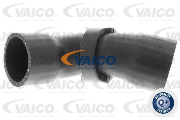 Vaico V420613 Charger Air Hose V420613: Buy near me at 2407.PL in Poland at an Affordable price!