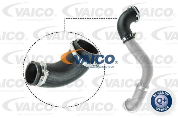 Vaico V251050 Charger Air Hose V251050: Buy near me in Poland at 2407.PL - Good price!