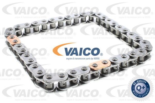 Vaico V251777 Timing chain V251777: Buy near me in Poland at 2407.PL - Good price!