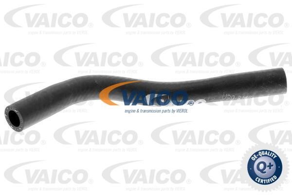 Vaico V303146 Kühlerschlauch V303146: Kaufen Sie zu einem guten Preis in Polen bei 2407.PL!
