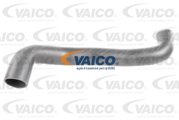 Vaico V420620 Charger Air Hose V420620: Buy near me in Poland at 2407.PL - Good price!
