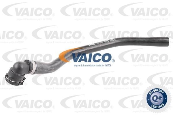 Vaico V402008 Radiator Hose V402008: Buy near me at 2407.PL in Poland at an Affordable price!