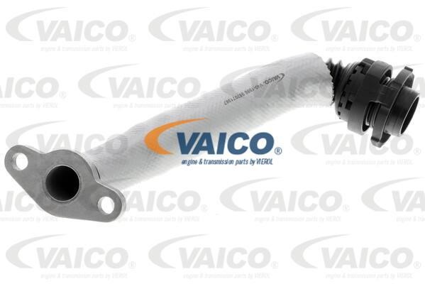 Vaico V401986 Oil Pipe, charger V401986: Buy near me in Poland at 2407.PL - Good price!