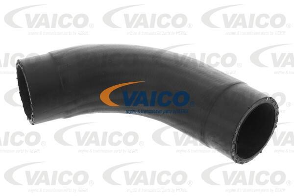 Vaico V401505 Charger Air Hose V401505: Buy near me in Poland at 2407.PL - Good price!