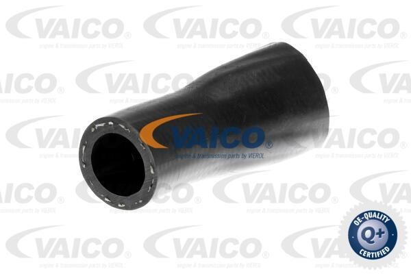 Vaico V202968 Charger Air Hose V202968: Buy near me in Poland at 2407.PL - Good price!