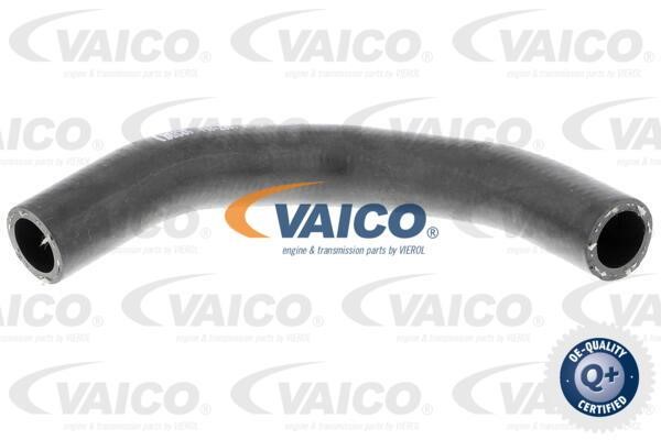 Vaico V402001 Radiator Hose V402001: Buy near me in Poland at 2407.PL - Good price!