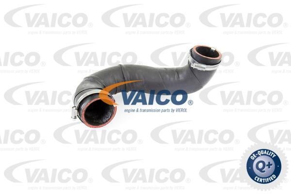 Vaico V104381 Charger Air Hose V104381: Buy near me in Poland at 2407.PL - Good price!