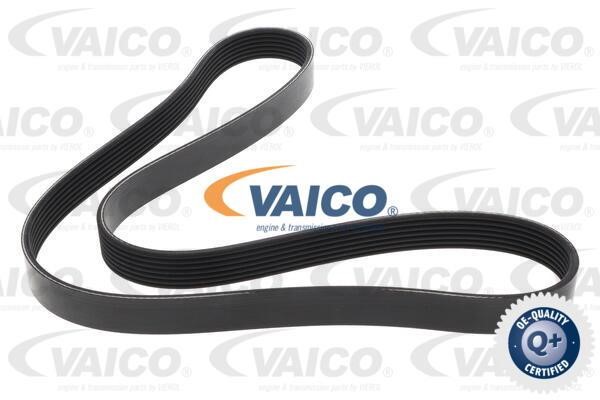 Vaico V24-1209 V-Ribbed Belt V241209: Buy near me in Poland at 2407.PL - Good price!