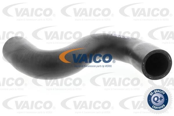 Vaico V420635 Kühlerschlauch V420635: Kaufen Sie zu einem guten Preis in Polen bei 2407.PL!