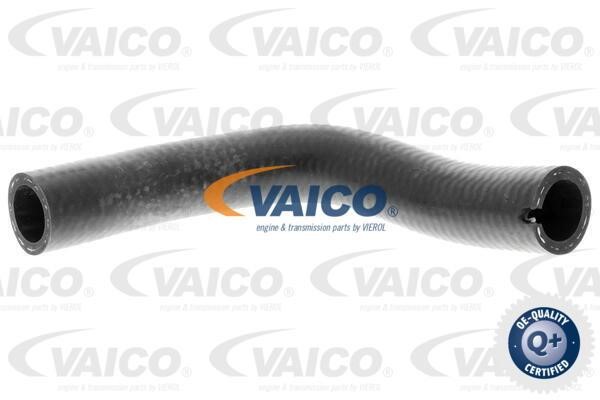 Vaico V240728 Charger Air Hose V240728: Buy near me in Poland at 2407.PL - Good price!