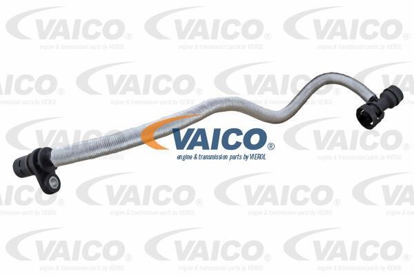 Vaico V20-3581 Шланг, вентиляция картера V203581: Отличная цена - Купить в Польше на 2407.PL!