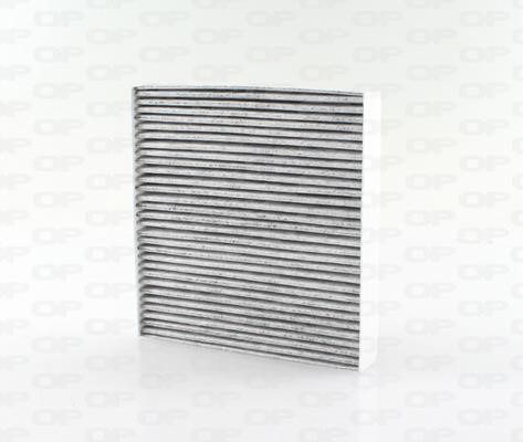 Open parts CAF225611 Activated Carbon Cabin Filter CAF225611: Buy near me in Poland at 2407.PL - Good price!