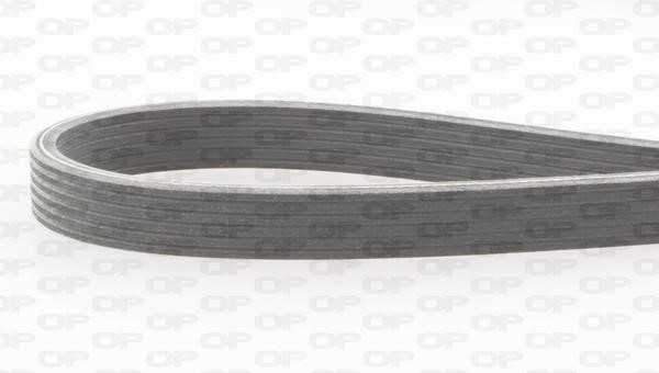 Open parts PVBD1195.06 V-Ribbed Belt PVBD119506: Buy near me at 2407.PL in Poland at an Affordable price!