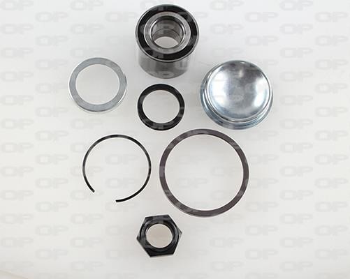 Open parts HBK5009.01 Wheel bearing kit HBK500901: Buy near me in Poland at 2407.PL - Good price!