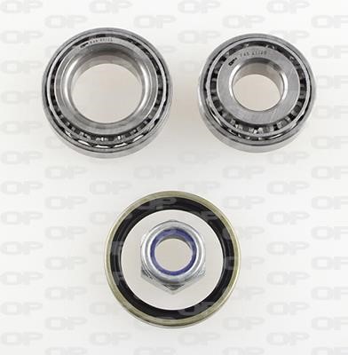 Open parts HBK5252.00 Wheel bearing kit HBK525200: Buy near me in Poland at 2407.PL - Good price!