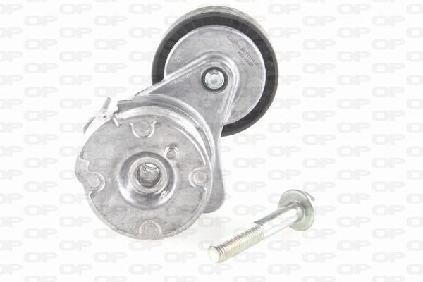 Open parts ACT2174.00 Idler roller ACT217400: Buy near me in Poland at 2407.PL - Good price!