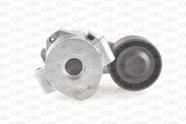 Open parts ACT2202.00 Idler roller ACT220200: Buy near me in Poland at 2407.PL - Good price!