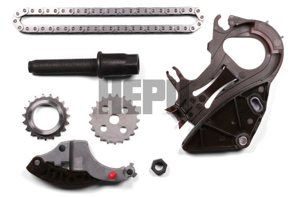 Hepu 21-0374 CHAIN OIL PUMP 210374: Buy near me at 2407.PL in Poland at an Affordable price!
