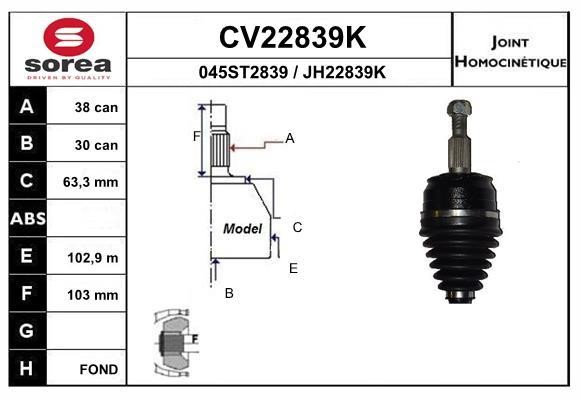 EAI CV22839K Joint kit, drive shaft CV22839K: Buy near me in Poland at 2407.PL - Good price!