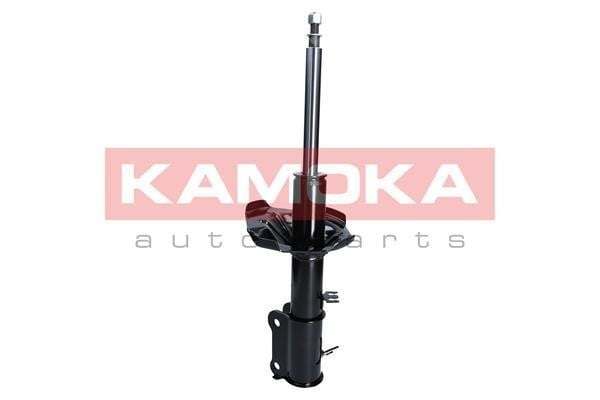 Buy Kamoka 2000458 at a low price in Poland!