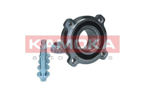 Rear Wheel Bearing Kit Kamoka 5500182